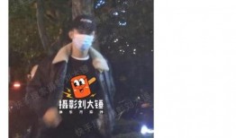 刘大锤最新爆料黄景瑜,黄景瑜背后惊人真相曝光！