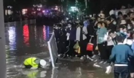 甘肃爆料最新消息视频,视频揭露惊人真相！